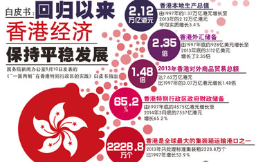 2025年香港正版资料免费大全精准，精选解释解析与落实策略