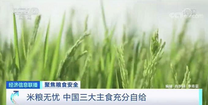 蝗灾最新路线，全球粮食安全的新挑战