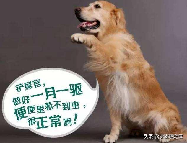 环讯 第1306页