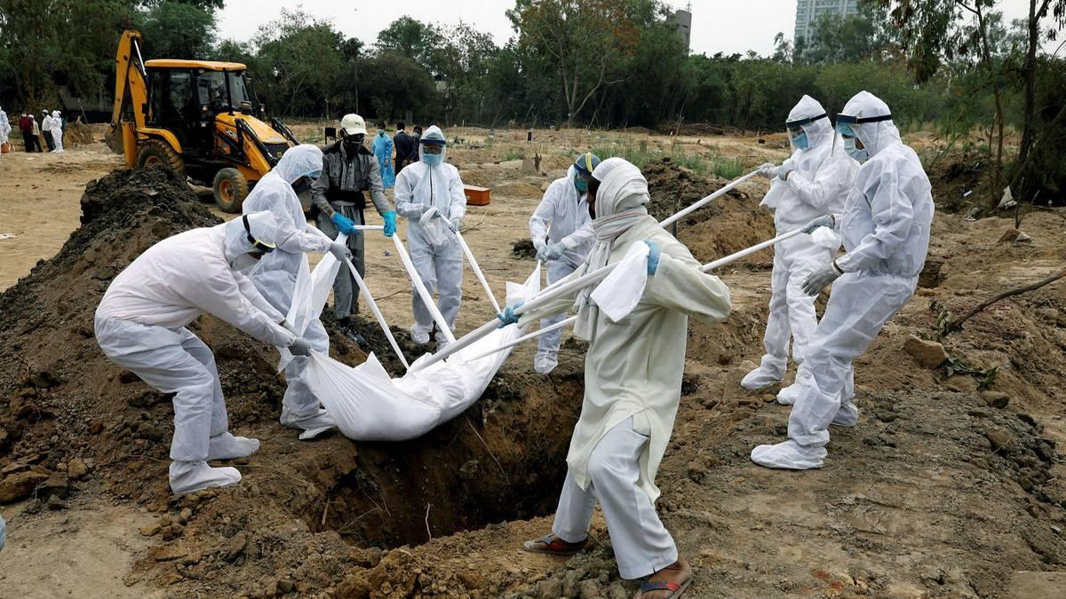 印度新冠疫情最新数据分析报告