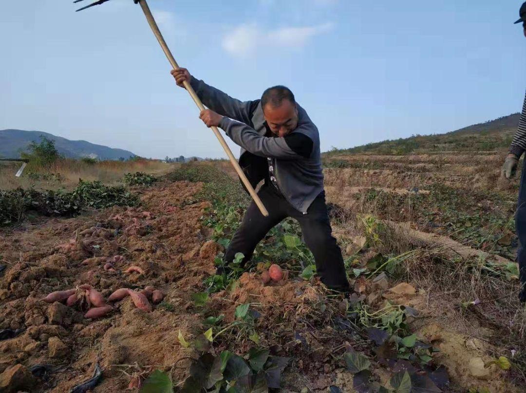 公司注册最新章程，构建企业成功的基石
