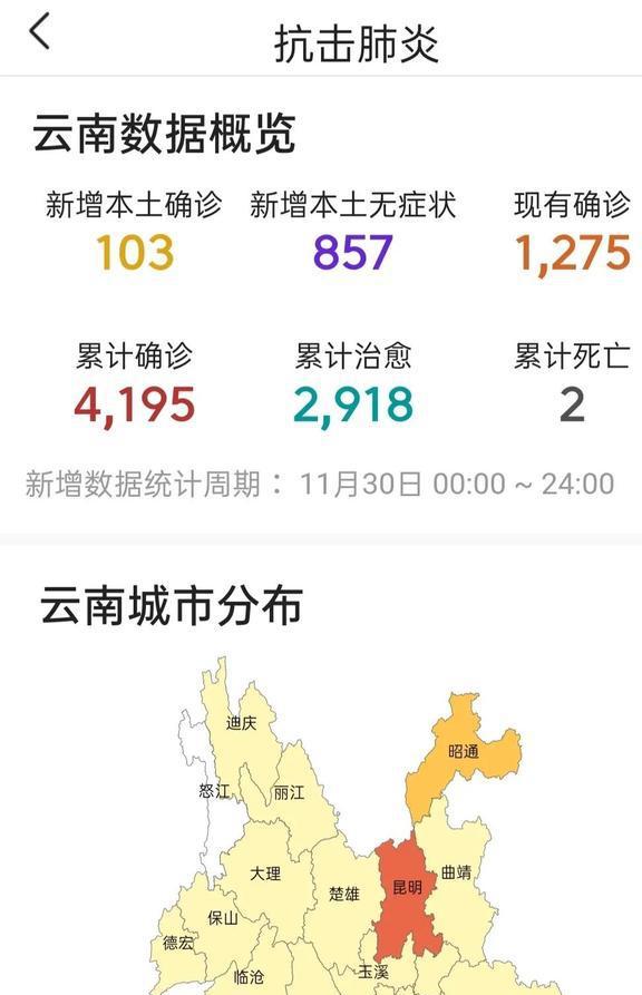 云南孟定疫情最新动态分析