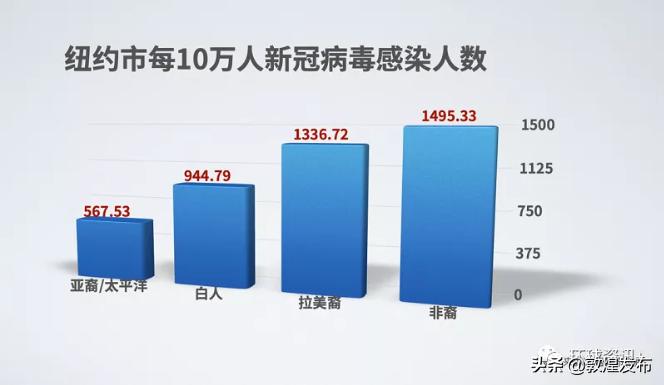 黑人最新政策，重塑平等与机会的未来蓝图