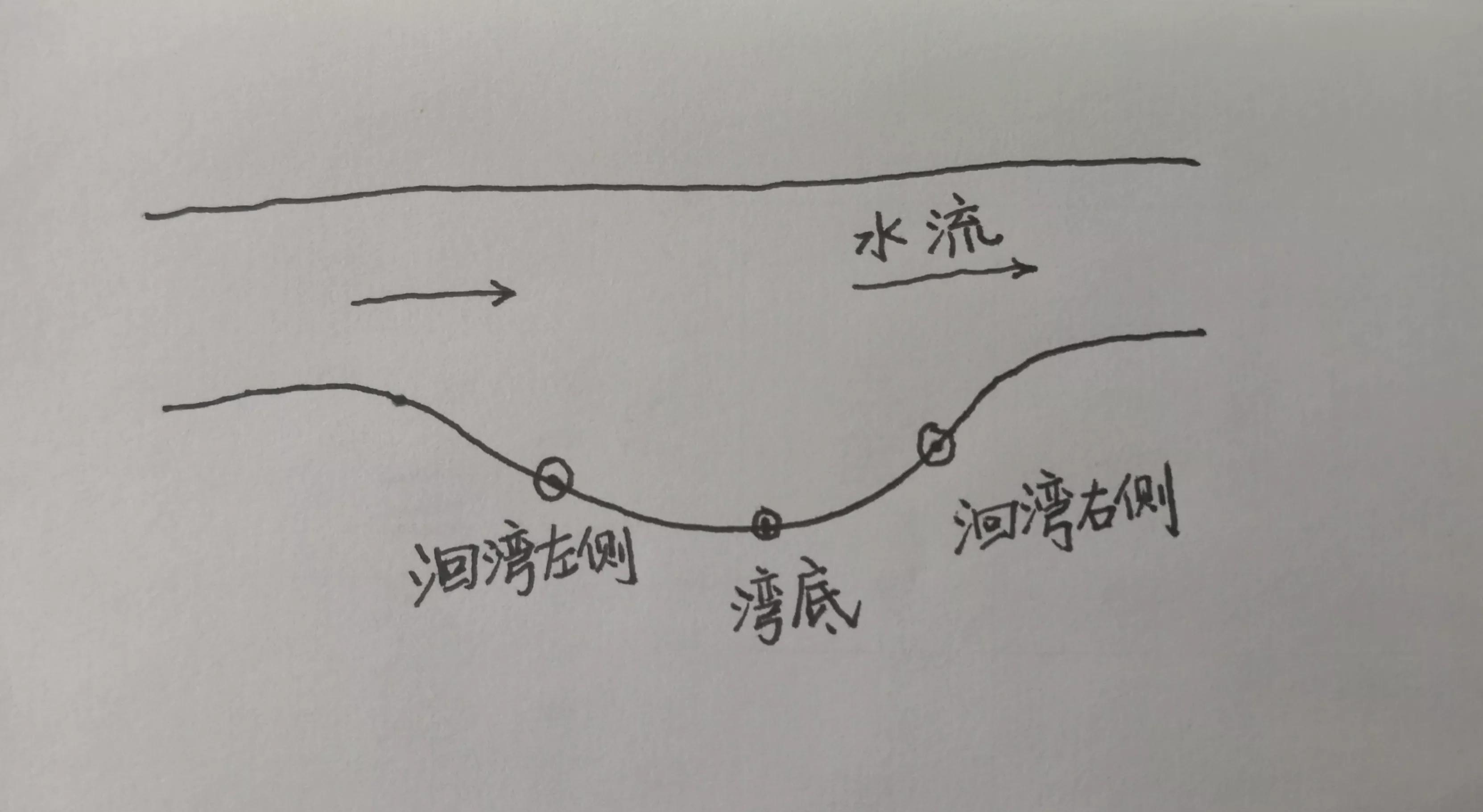 最新野钓鲫鱼视频，探索自然之美，体验钓鱼之乐
