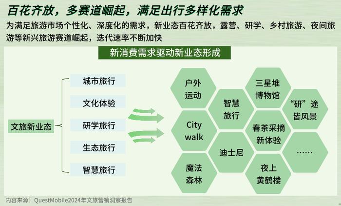 旅游发展的最新动态，探索新时代旅游业的变革与创新