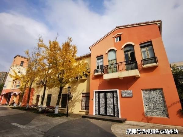 雷志强案情最新进展深度解析