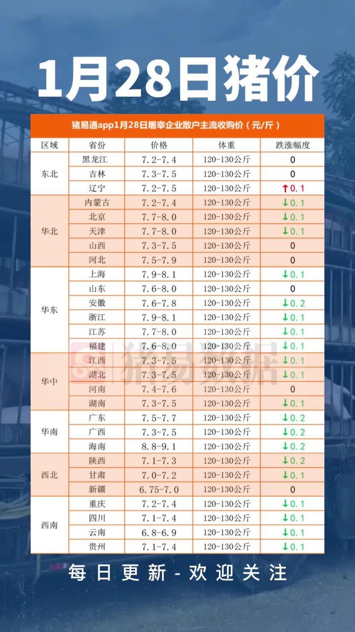 最新猪价行情分析