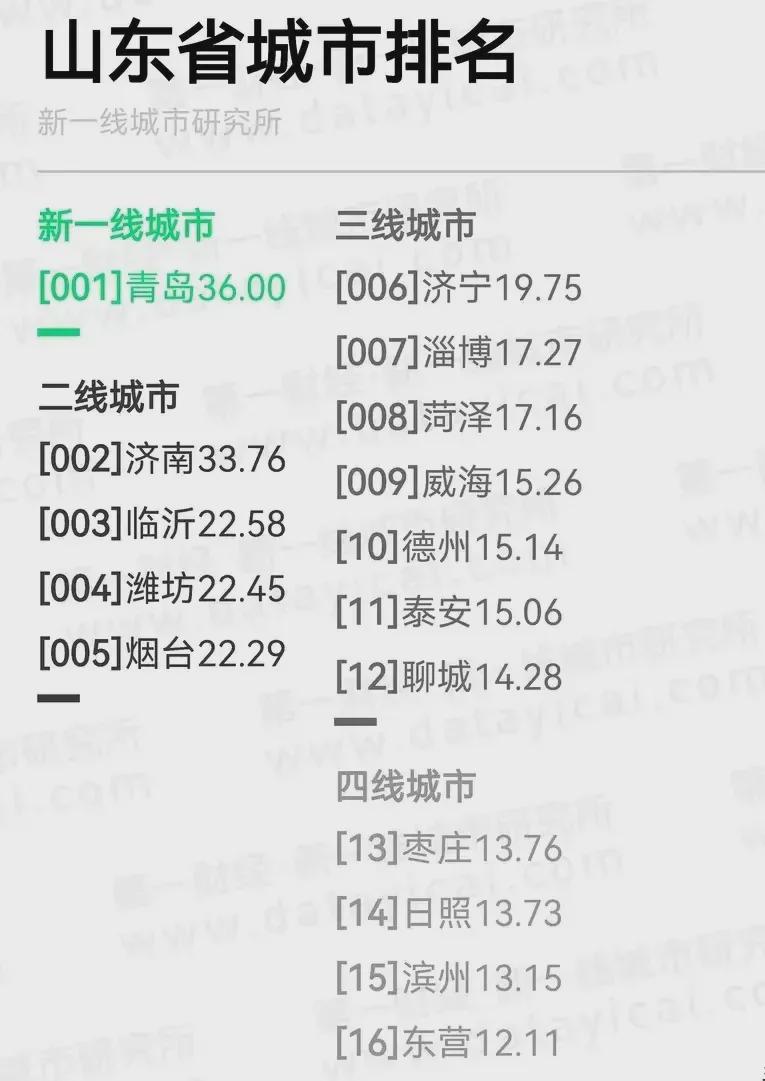 山东最新排名城市概览