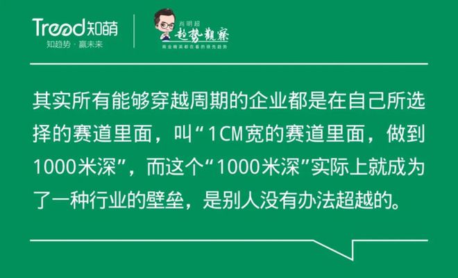 青啤最新任命，引领企业走向新篇章