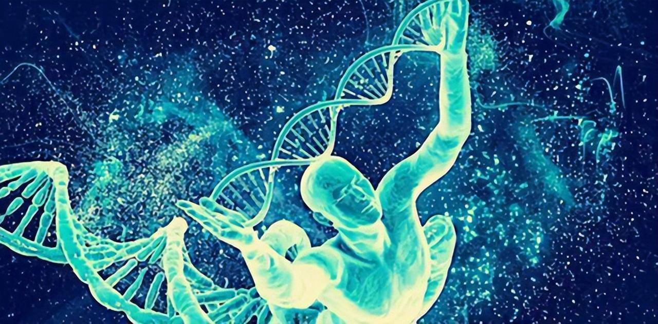 长生最新消息，揭开未来健康长寿的神秘面纱